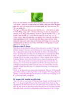 Lợi ích từ cây Nha đam! pptx