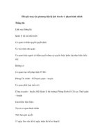 Đấu giá tang vật, phương tiện bị tịch thu do vi phạm hành chính pps