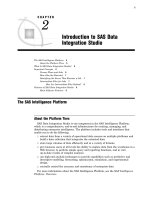 SAS Data Integration Studio 3.3- P3 ppsx