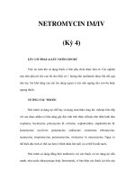 NETROMYCIN IM/IV (Kỳ 4) LÚC CÓ THAI và LÚC NUÔI CON BÚ Việc an toàn khi sử dụng pptx