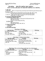 GIÁO ÁN HĐNGLL8