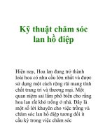 Kỹ thuật chăm sóc lan hồ điệp docx