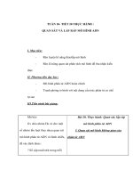 Giáo án Sinh học 9 - THỰC HÀNH : QUAN SÁT VÀ LẮP RÁP MÔ HÌNH ADN docx