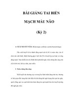 BÀI GIẢNG TAI BIẾN MẠCH MÁU NÃO (Kỳ 2) potx