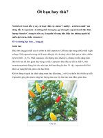 Ớt bạn hay thù? docx