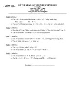 đề thi học sinh giỏi toán 6