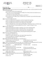 De KT sinh hoc 11-1tiet-KI(09-10)