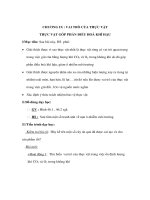 Giáo án Sinh học 6 - VAI TRÒ CỦA THỰC VẬT THỰC VẬT GÓP PHẦN ĐIỀU HOÀ KHÍ HẬU ppt