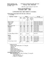 BAO CAO TONG KET -SO KET NAM HOC