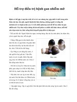 Hỗ trợ điều trị bệnh gan nhiễm mỡ pot