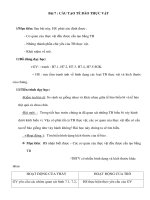 Giáo án Sinh học 6 - CẤU TẠO TẾ BÀO THỰC VẬT ppsx