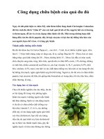 Công dụng chữa bệnh của quả đu đủ ppt