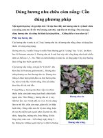 Dùng hương nhu chữa cảm nắng: Cần đúng phương pháp pot
