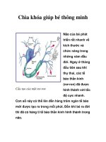 Chìa khóa giúp bé thông minh pdf