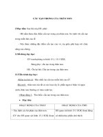 Giáo án Sinh học 6 - CẤU TẠO TRONG CỦA THÂN NON ppsx