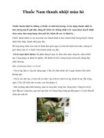 Thuốc Nam thanh nhiệt mùa hè potx