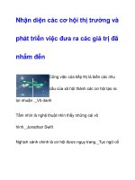 Nhận diện các cơ hội thị trường và phát triển ppt