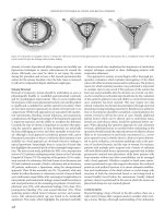 Improved Outcomes in Colon and Rectal Surgery part 38 pps
