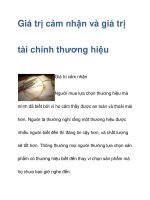 Giá trị cảm nhận và giá trị tài chính thương hiệu pptx