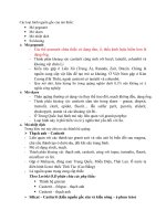 Các loại hình nguồn gốc của mỏ thiếc doc