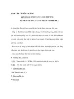 Tài liệu Sinh học 9 - SINH VẬT VÀ MÔI TRƯỜNG pot