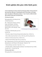 Kinh nghiệm dân gian chữa bệnh goute docx