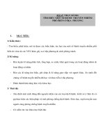 Giáo án Sinh học 10 nâng cao - THỰC HÀNH: TÌM HIỂU MỘT SỐ BỆNH TRUYỀN NHIỄM PHỔ BIẾN Ở ĐỊA PHUƠNG potx