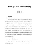 Viêm gan mạn tính hoạt động (Kỳ 1) docx