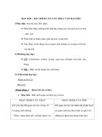 Giáo án Sinh học 6 - HẠT KÍN – ĐẶC ĐIỂM CỦA CÂY THỰC VẬT HẠT KÍN potx