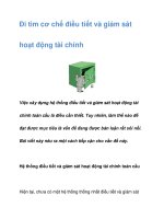 Đi tìm cơ chế điều tiết và giám sát hoạt động tài chính pps
