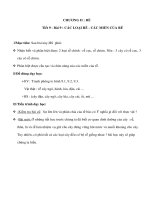 Giáo án Sinh học 6 - CÁC LOẠI RỄ - CÁC MIỀN CỦA RỄ pdf