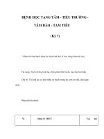 BỆNH HỌC TẠNG TÂM - TIỂU TRƯỜNG TÂM BÀO - TAM TIÊU (Kỳ 7) potx