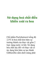 Sử dụng hoá chất điều khiển xoài ra hoa ppsx