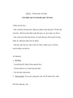 Mỹ thuật 6 - Thường thức mĩ thuật - Giới thiệu một số tranh dân gian Việt Nam pot