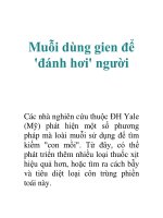 Muỗi dùng gien để ''''đánh hơi'''' người ppsx