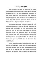 thiết kế chung cư C16 - khu đô thị Trung Yên và lập chương trình dồn tải khung phẳng, tổ hợp lực dầm, cột, chương 1 ppsx