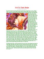 Lời Tỏ Tình Muộn pot