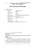 SKKN-Khắc phục tình trạng học sinh bỏ học