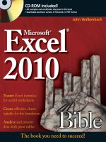 Microsoft excel 2010 potx