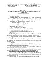 BAO CÁO ĐIỂN HÌNH