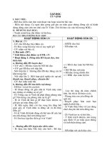 giáo án nhạn cẩm mỹ