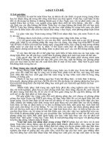 Bài Tham luan chuyen đề Bất đẳng thức