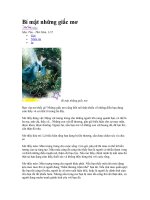 BÍ MẬT TRONG GIẤC MƠ