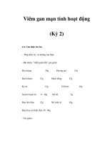 Viêm gan mạn tính hoạt động (Kỳ 2) potx