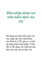 Biện pháp nâng cao tính miễn dịch của cây potx