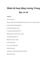 Đình chỉ hoạt động trường Trung học cơ sở pdf