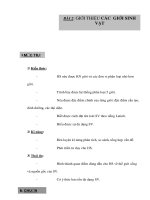 Giáo án Sinh học 9 - GIỚI THIỆU CÁC GIỚI SINH VẬT pptx