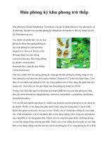 Hán phòng kỷ khu phong trừ thấp pot