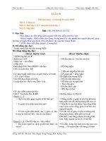 Giáo án 5-Tuần 30 (Hoa)