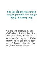 Suy tàn cấp độ phân tử của các gen quy định men răng ở động vật không răng doc